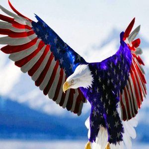 Meet your Posher, Judy